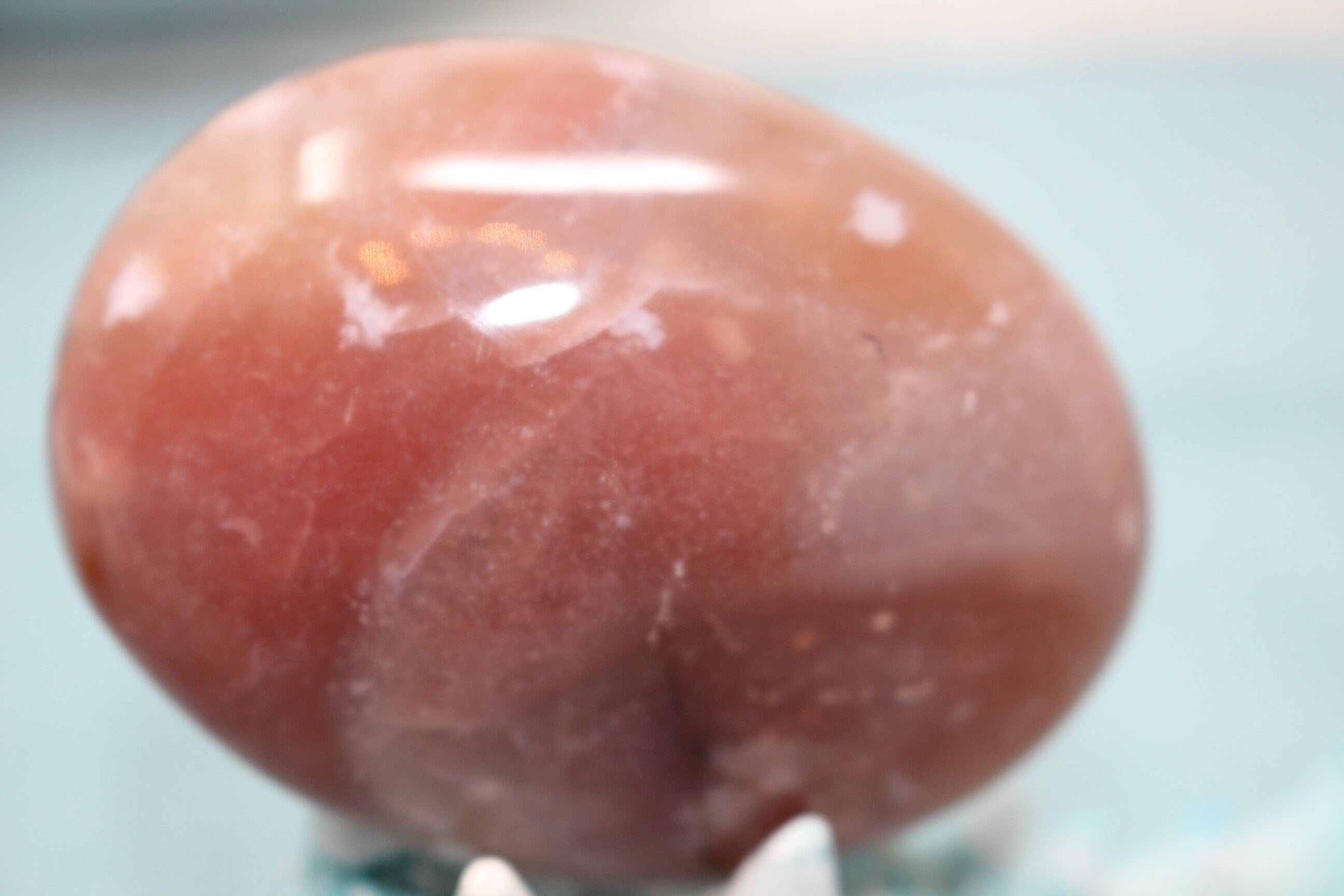 Large Sea Flower Agate Palm Stone with Beautiful Inclusions.