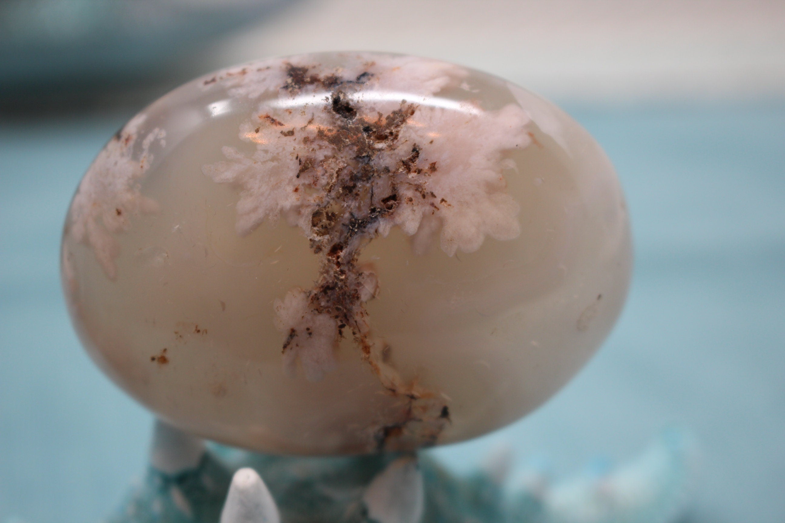 Large Sea Flower Agate Palm Stone with Beautiful Inclusions.
