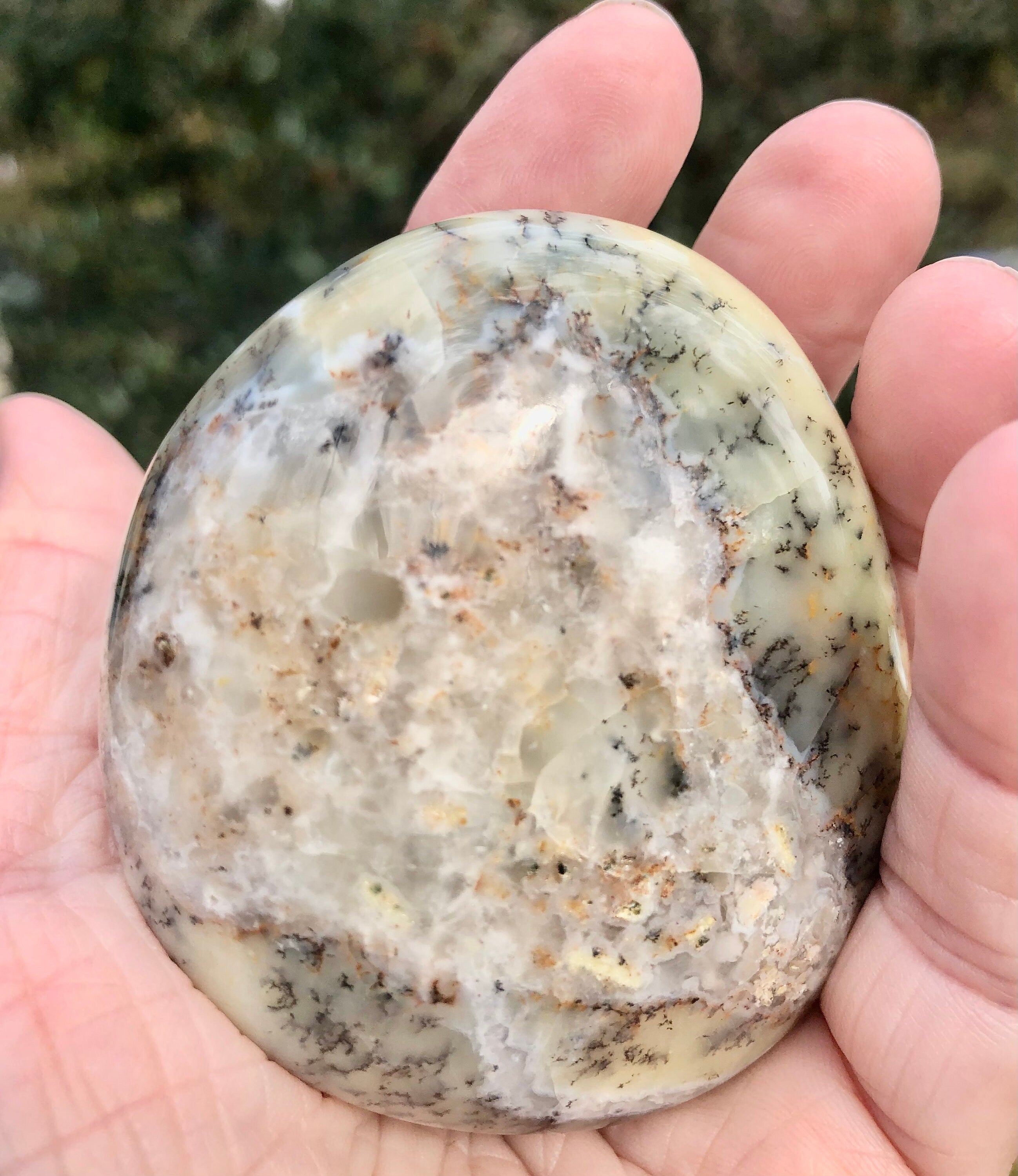 Dendritic Flower Agate Palm Stone,  Meditation Stone, Altars, Collectible Gemstone